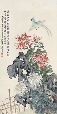 黄山寿 菊花寿带