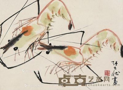 张大壮 对虾 33.5×45cm