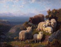 威廉R.C华森 清晨山崖边的绵羊群