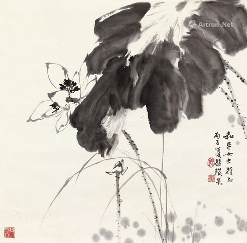 刘继瑛 荷花