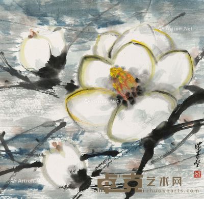 沈柔坚 玉兰 34×35cm