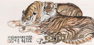镜明 虎 48×99cm