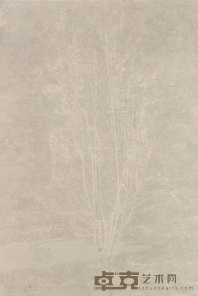 韩冬 春天的桃树之一 92×61cm