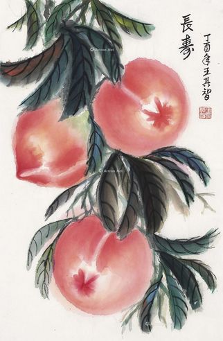 王其智 长寿