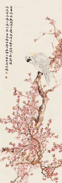 王师子 桃花鹦鹉