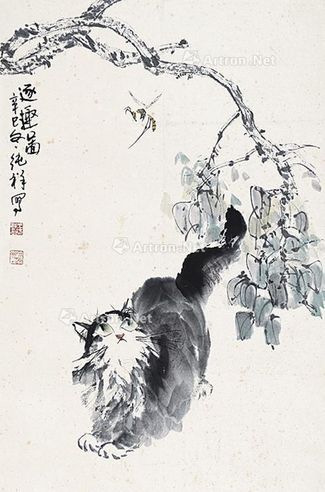 王纯祥 猫趣