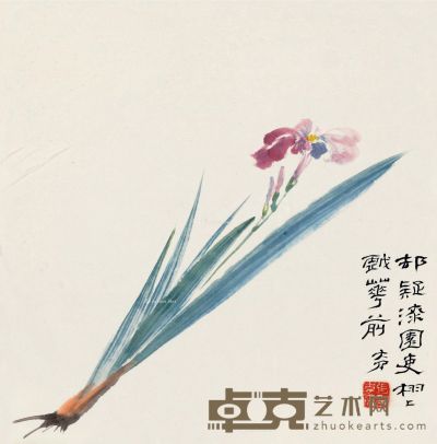 张大千 花卉 34×34cm