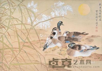 陈之佛 群鸭图 49×71cm
