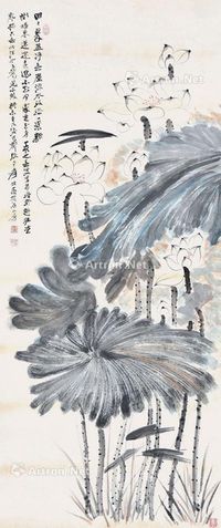 张大千 荷花