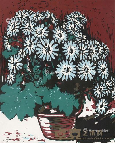 力群 瓜叶菊 32×26cm
