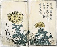 清刻套印本 芥子园画传二集