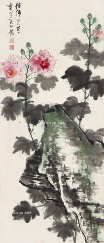 谢稚柳 蜀葵寿石