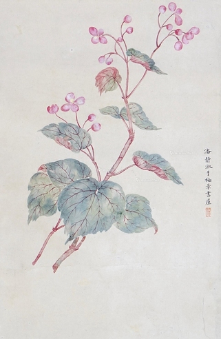 潘静淑     花卉