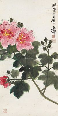 谢稚柳 芙蓉花