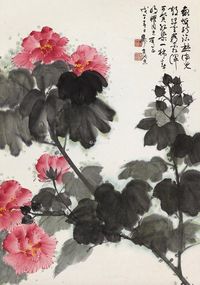 谢稚柳 芙蓉花