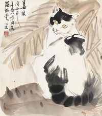 杨之光 猫