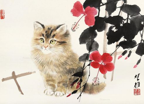 方楚雄 猫