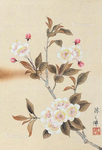 陈之佛 花卉