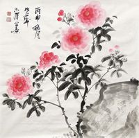 吕志泽 山茶花