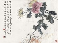 王师子 花卉