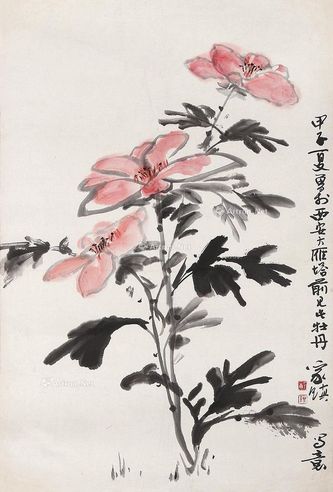 郑家镇 花卉