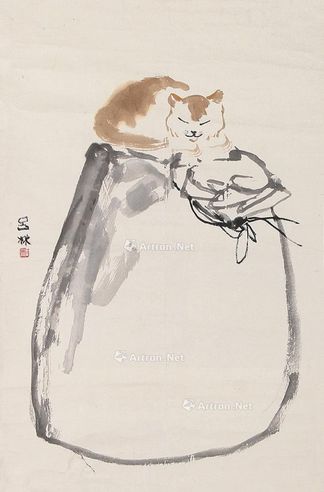 吕林 猫