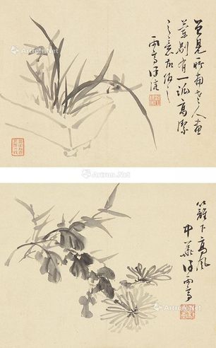 徐溶 兰菊