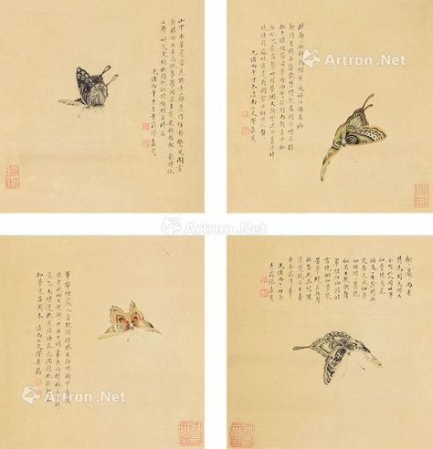 缪嘉惠 蝴蝶