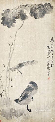 张雪鸿 荷花