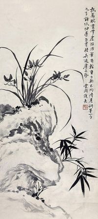 白蕉 兰石竹