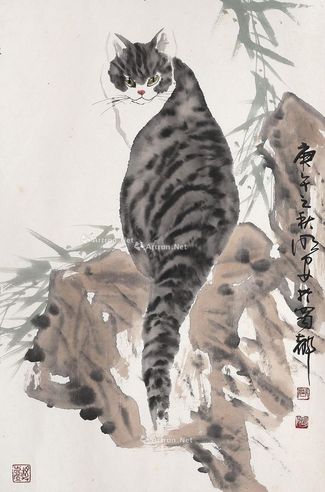 周明安 猫