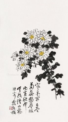 陆伯龙 菊花图