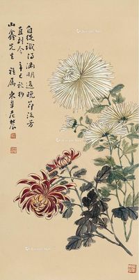 邓怀农 菊