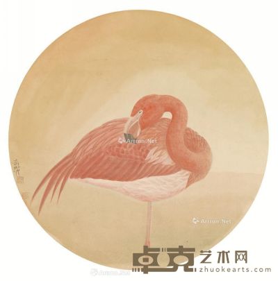 杨立奇 火烈鸟 直径31.5cm