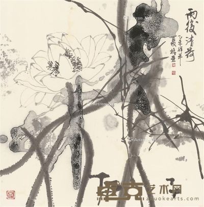 夏椿亚 雨后清荷 34×35cm