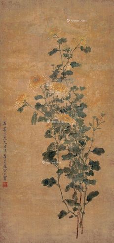 宋光宝 菊花草虫