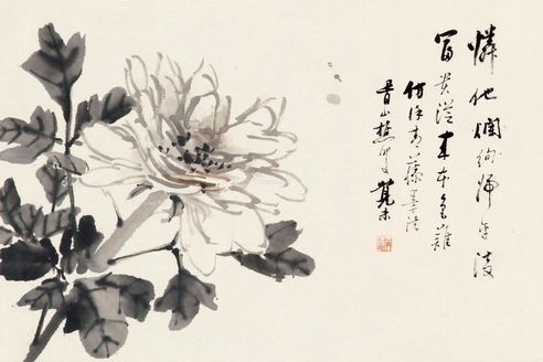 朱梦卢 菊花小品