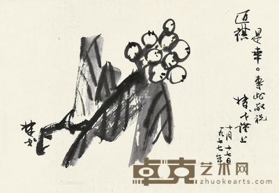 楚戈 枇杷 28×39cm