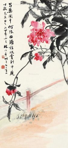 林伯希 芍药 干