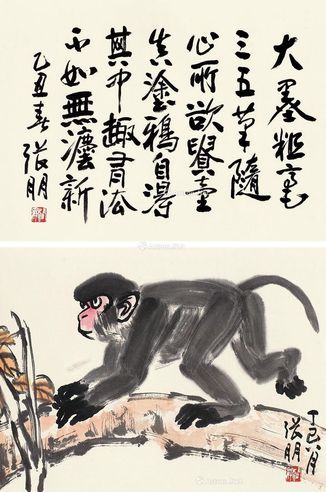 张朋 猴