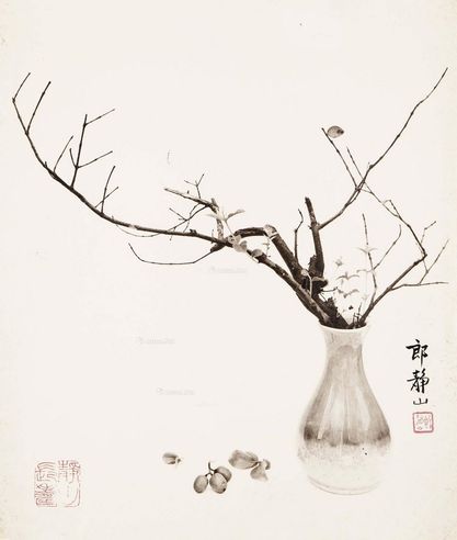 郎静山 瓶中春意 照片