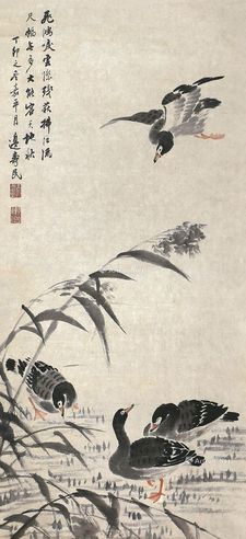 边寿民 芦雁