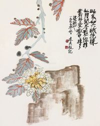 冯建吴 花卉