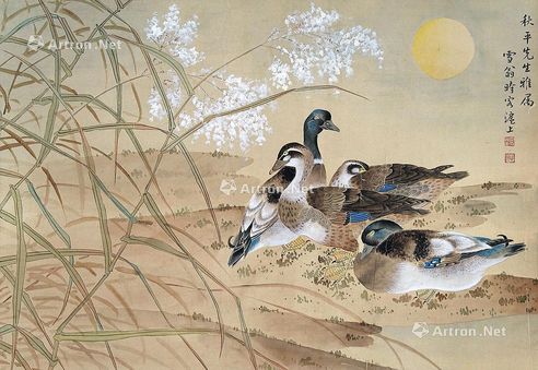 陈之佛 鸭