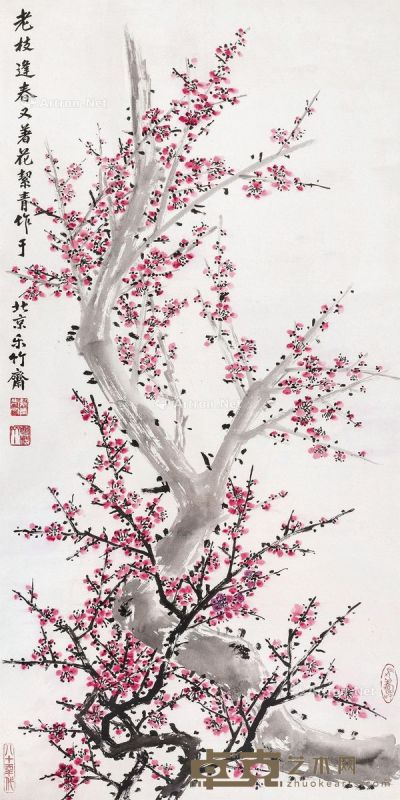 胡絜青 梅花 130×65cm