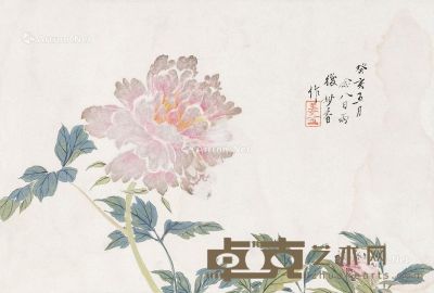 姜妙香 花卉 29×44cm