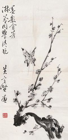 黄定贤 花蝶