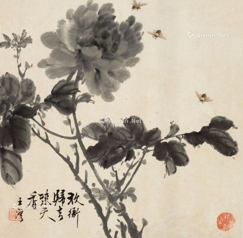 王沄 牡丹蜜蜂