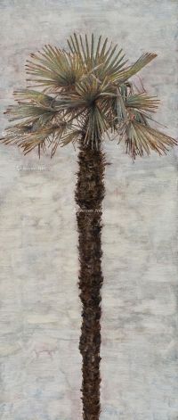 李建鹏 挺拔的椰树