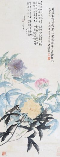 黄鞠 没骨牡丹